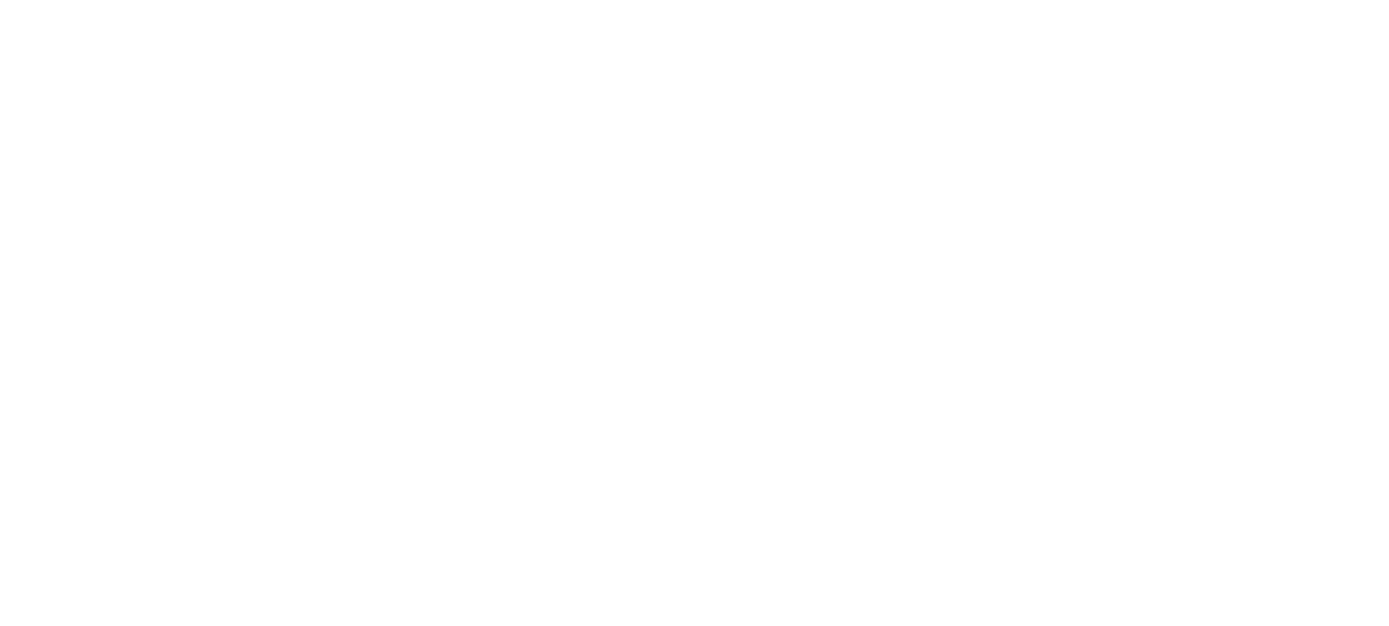 MIR DMC